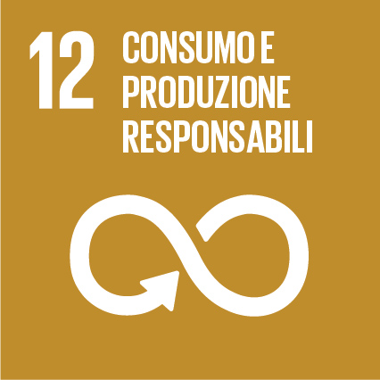12 - Consumo e produzione responsabili