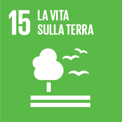 15 - La vita sulla terra